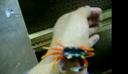 crab_5.png