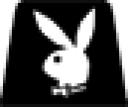 bunny.jpg