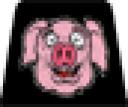 pig.jpg