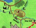 darwynia.jpg