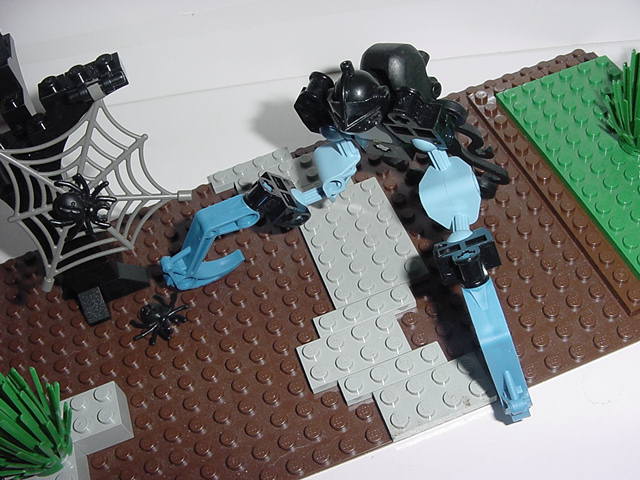 dsc00002.jpg