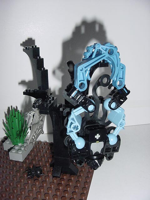 dsc00010.jpg