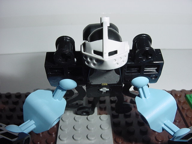 dsc00013.jpg