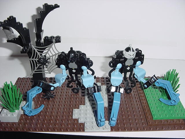 dsc00020.jpg