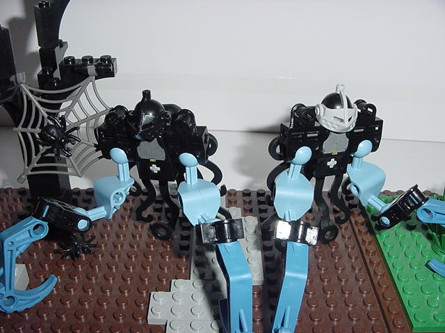 dsc00021.jpg
