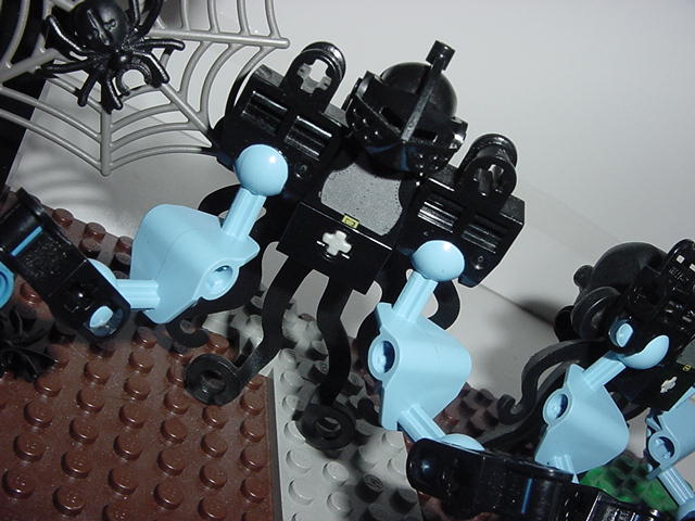 dsc00022.jpg