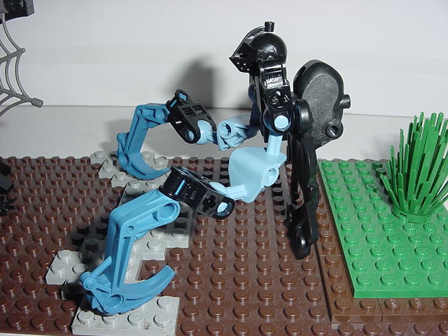 dsc00024.jpg