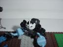 dsc00011.jpg