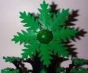 tree07.jpg