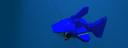 x-pod-blue-shark.jpg