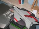 100_0051.jpg