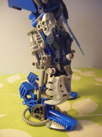 bluebot_006.jpg