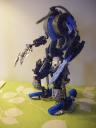 bluebot_003.jpg
