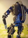bluebot_008.jpg