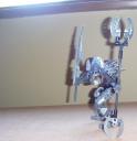 2009_0624fegra0003.jpg