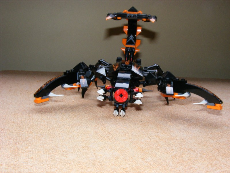 scorpion_014.jpg