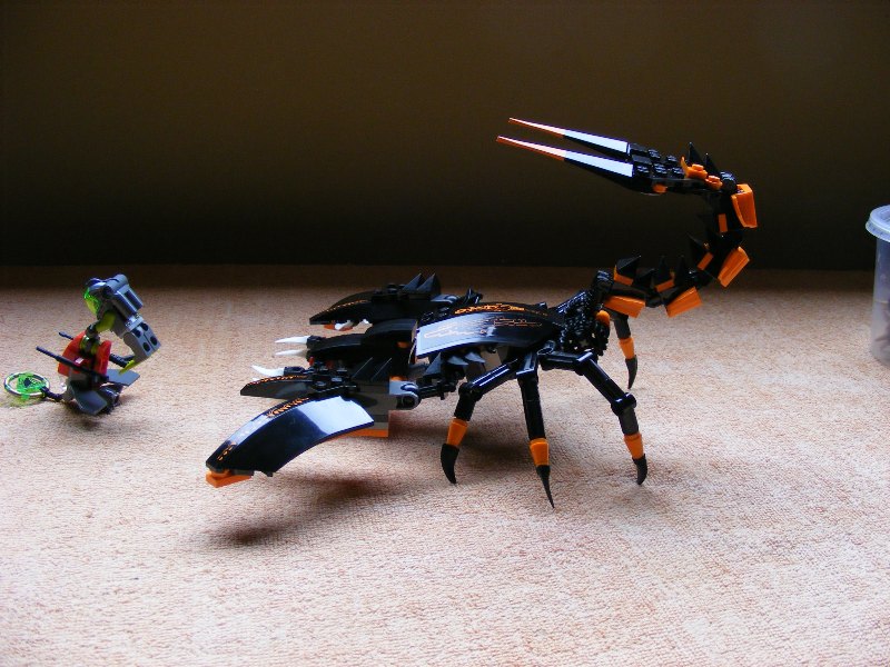 scorpion_018.jpg