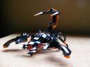 scorpion_013.jpg