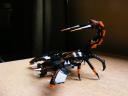 scorpion_015.jpg