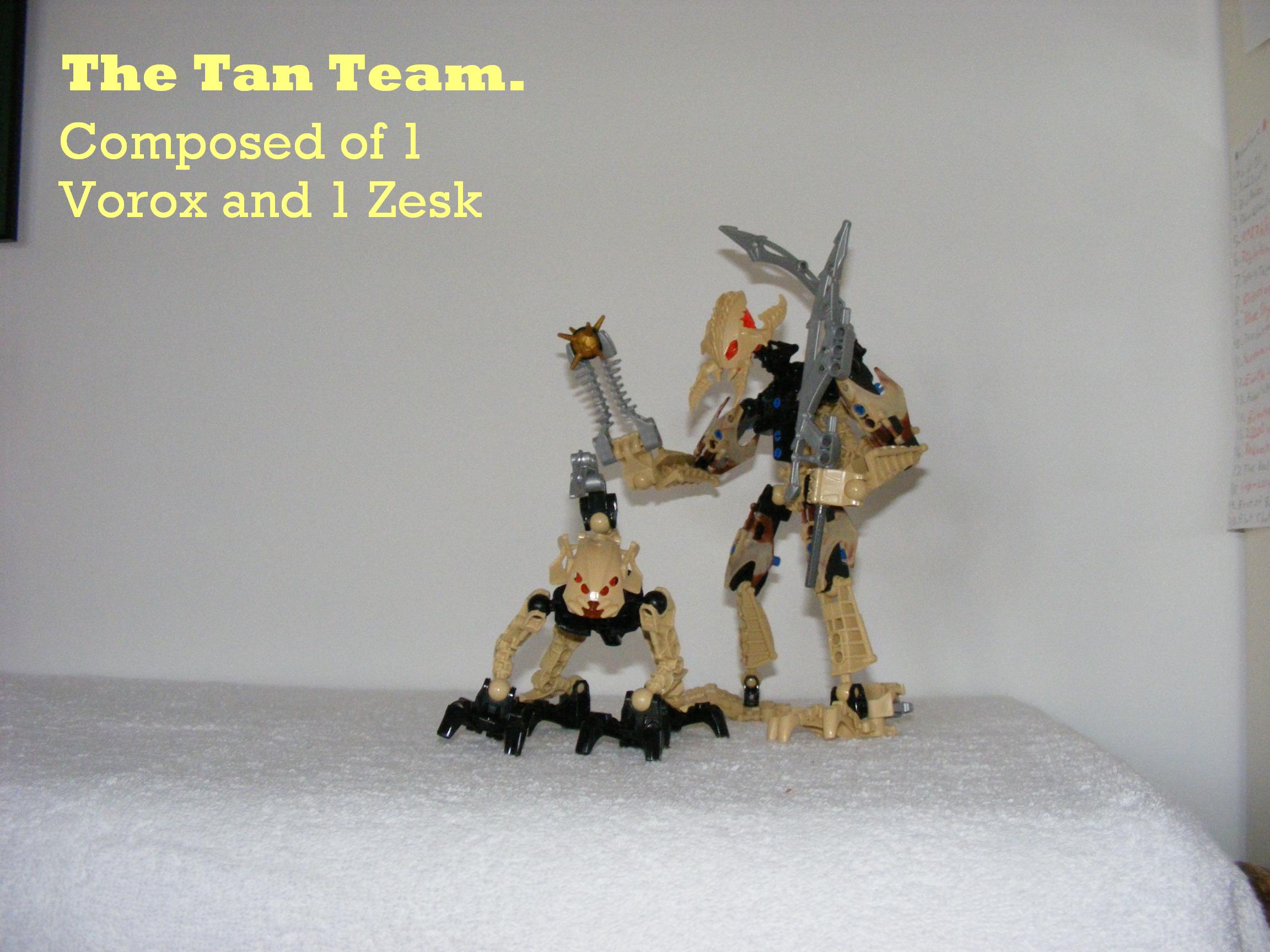 2009_0405tanteam0001.jpg