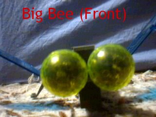 big-bee-front.jpg