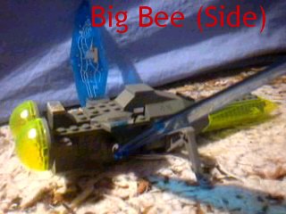 big-bee-side.jpg
