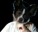 creepo.png
