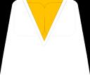 v-neck.png