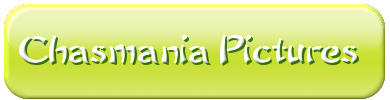 chasmania.png