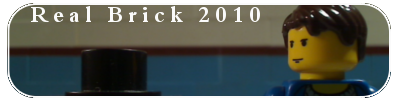 realbrick2010.png