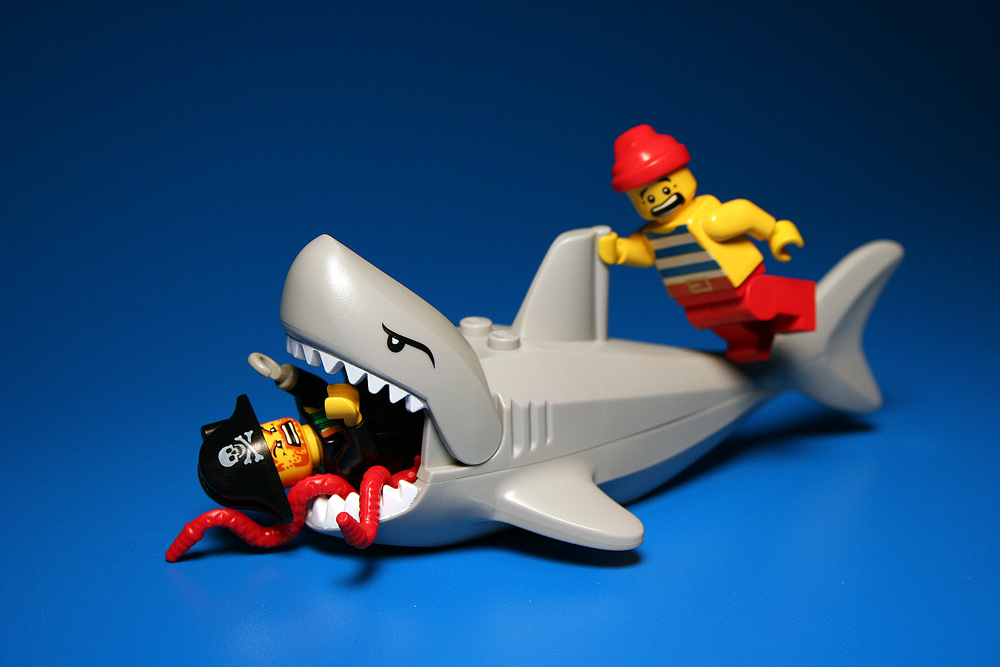 sharky.jpg