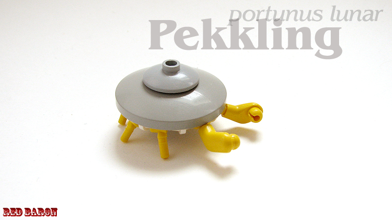 pekk01.jpg