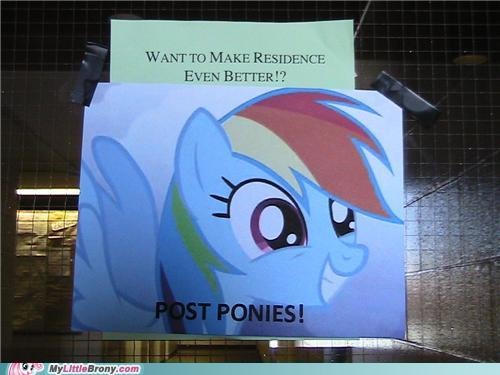 post_ponies_irl_-_copy.jpg