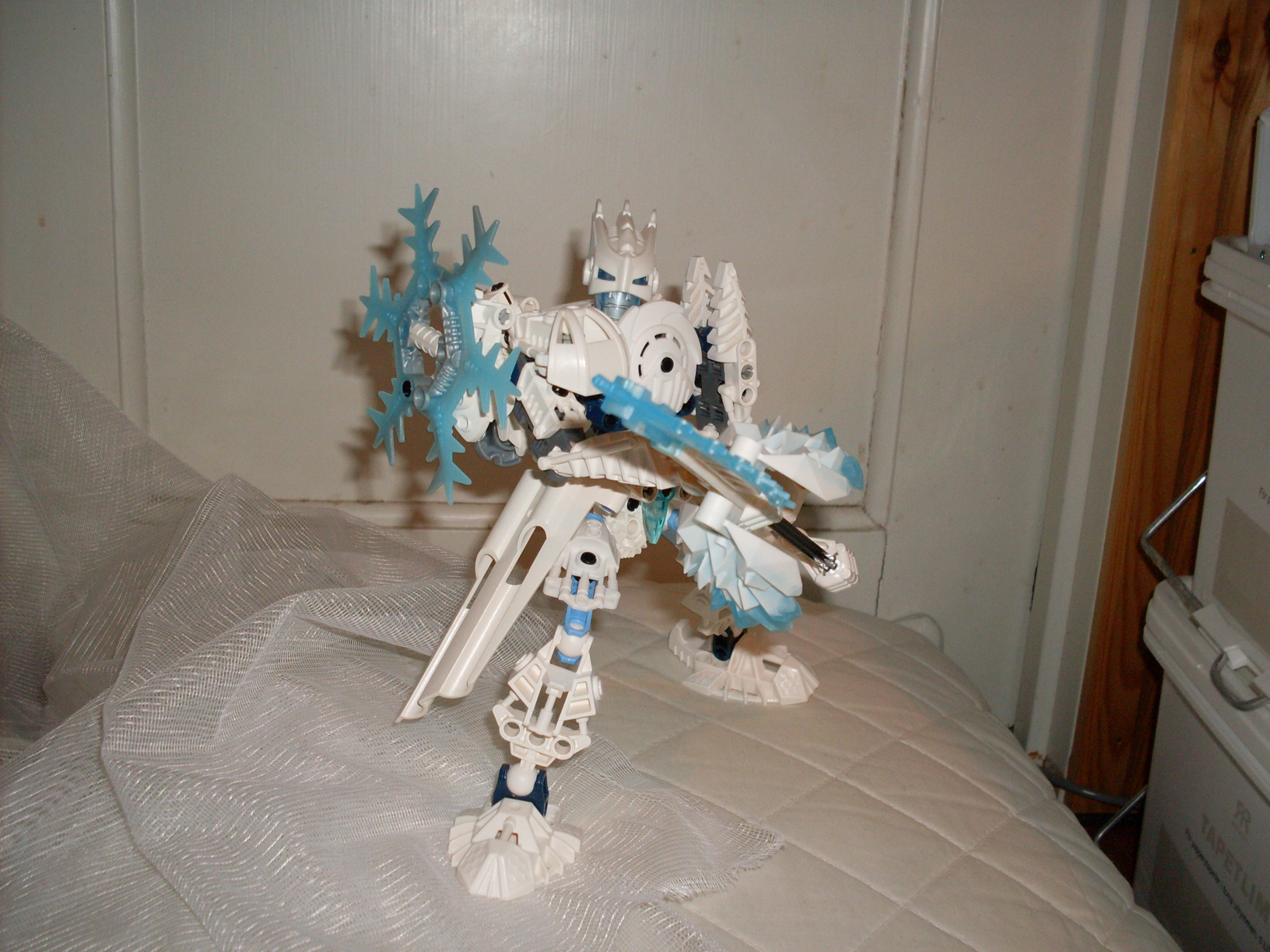 sdc10356.jpg