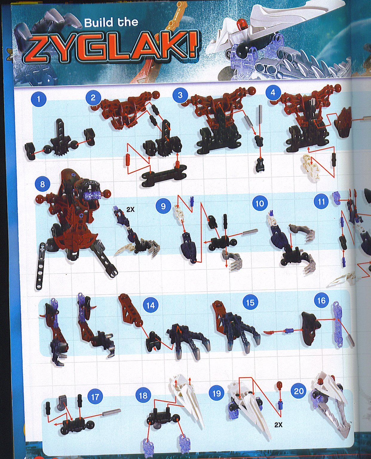 zyglak_01.jpg