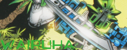 wairuha_ban.png