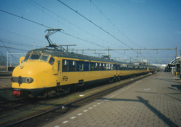 hondekop_777_zwolle.jpg