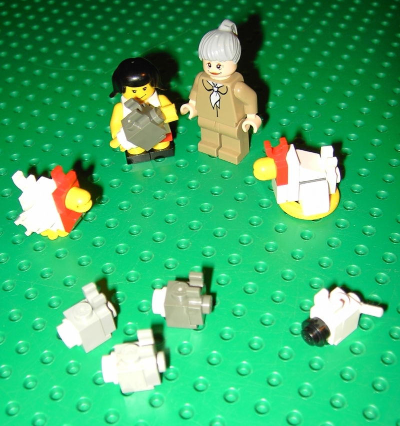 poule_coq_lapins_chien.jpg
