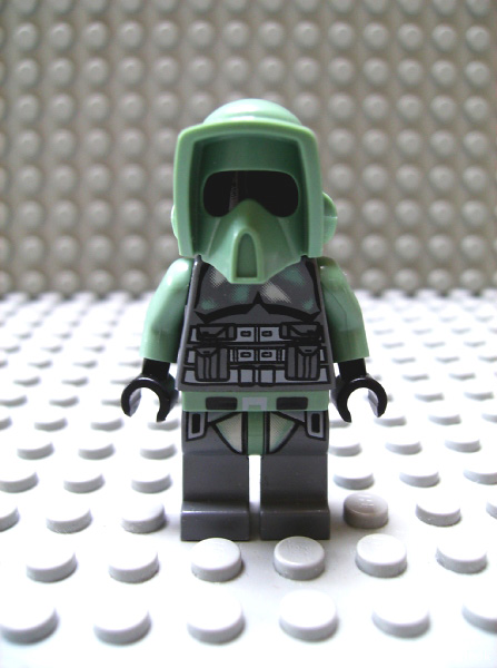 kashyyyk_trooper.jpg