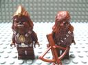 wookiee_warrior_and_chewbacca.jpg