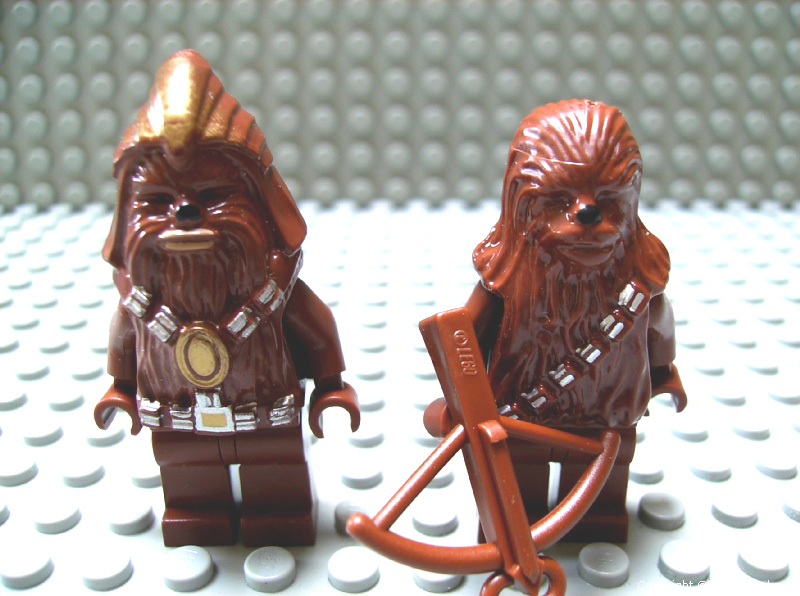 wookiee_warrior_and_chewbacca.jpg