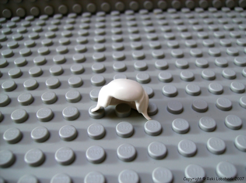 white_pigtails.jpg