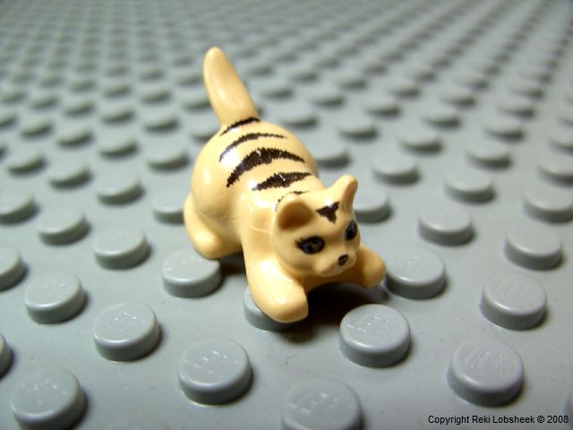 6251px2_crouching_cat_very_light_orange.jpg