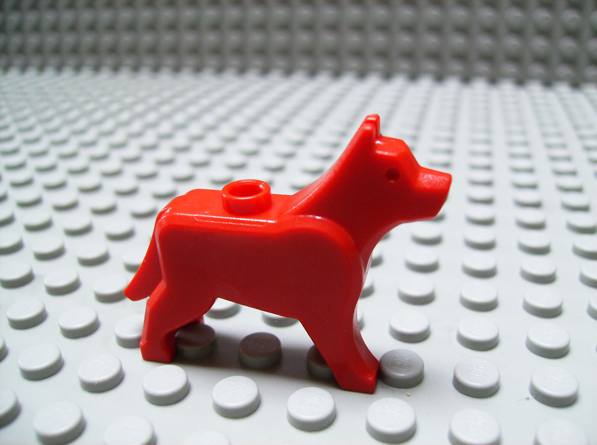 dog_red.jpg
