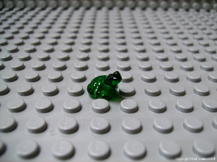 frog_trans-neon_green.jpg