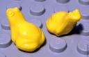frog_yellow.jpg