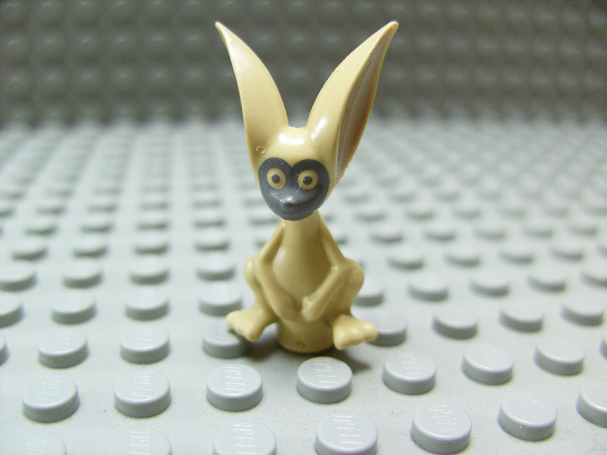 lemur_momo.jpg