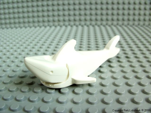shark_white.jpg