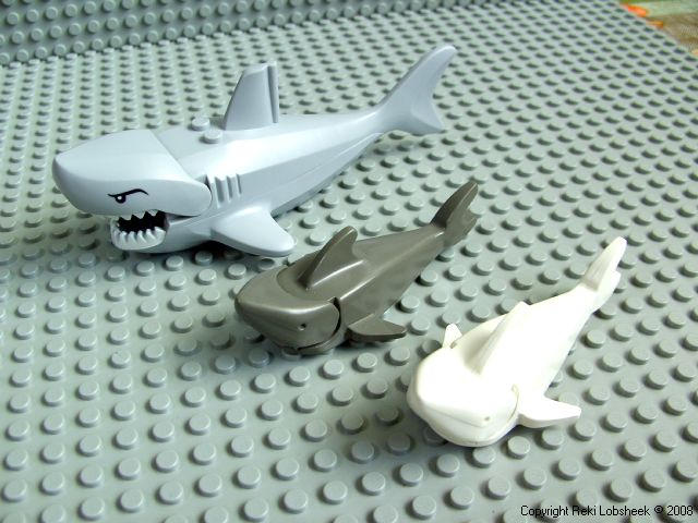 sharks.jpg