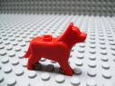 dog_red.jpg